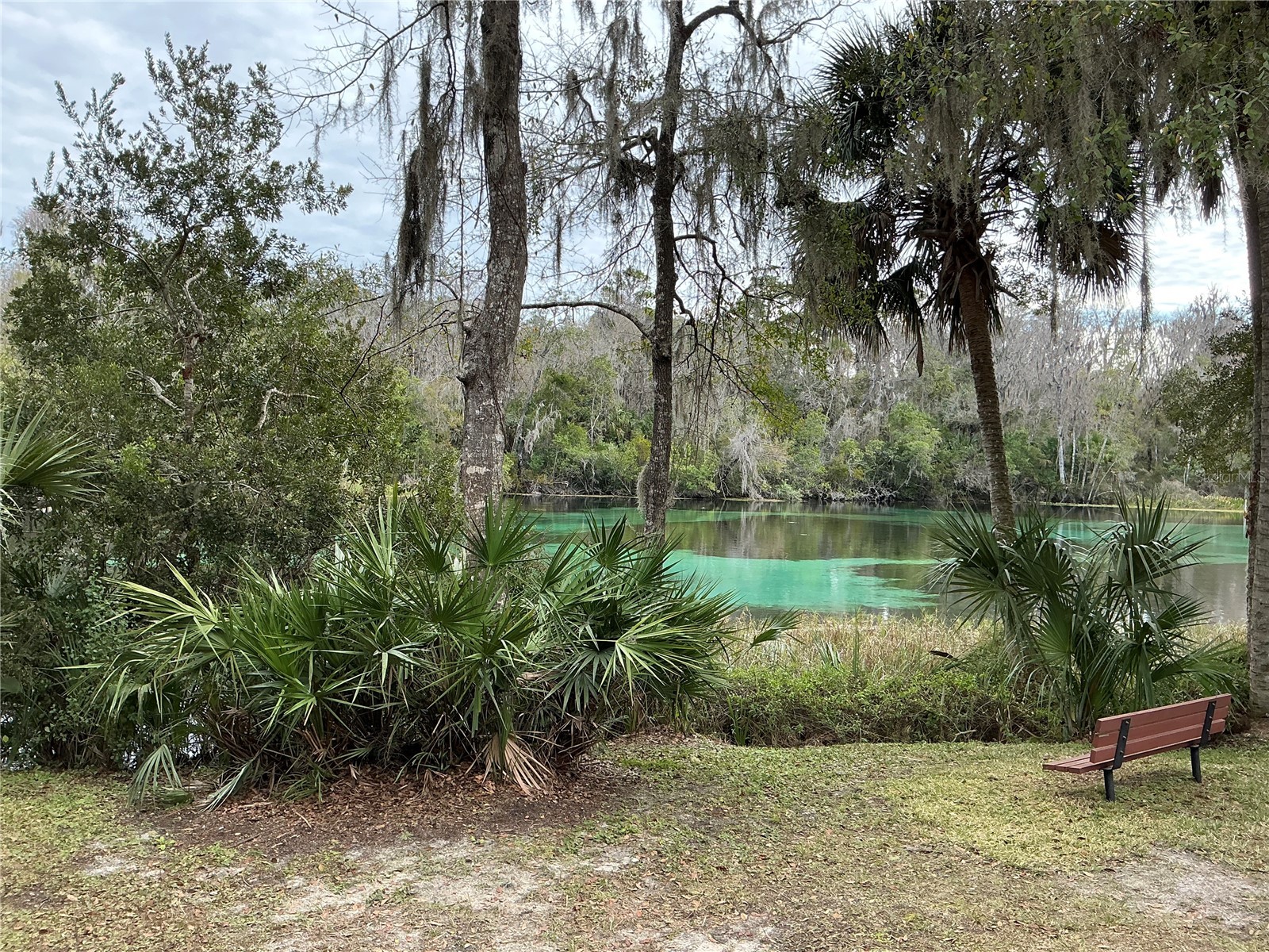 8870 SW 191st Circle Dunnellon FL 34432 O6376935 image47