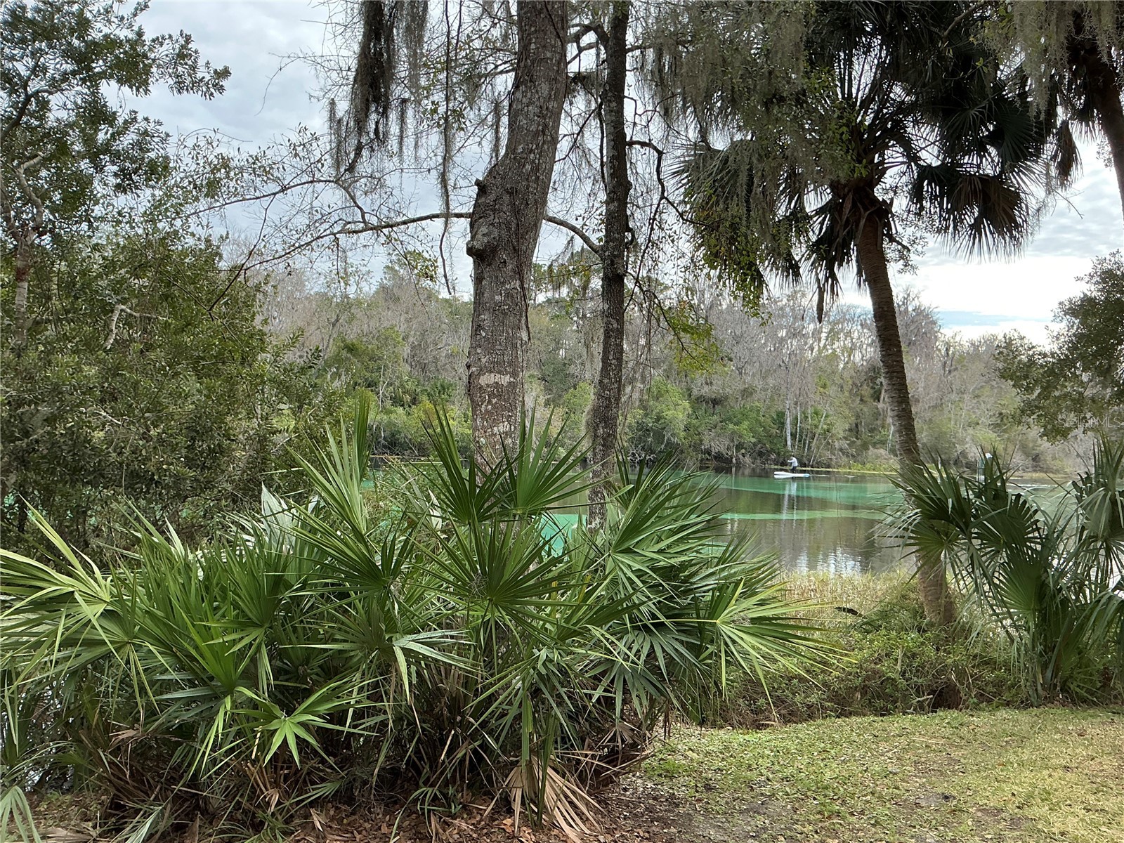 8870 SW 191st Circle Dunnellon FL 34432 O6376935 image50