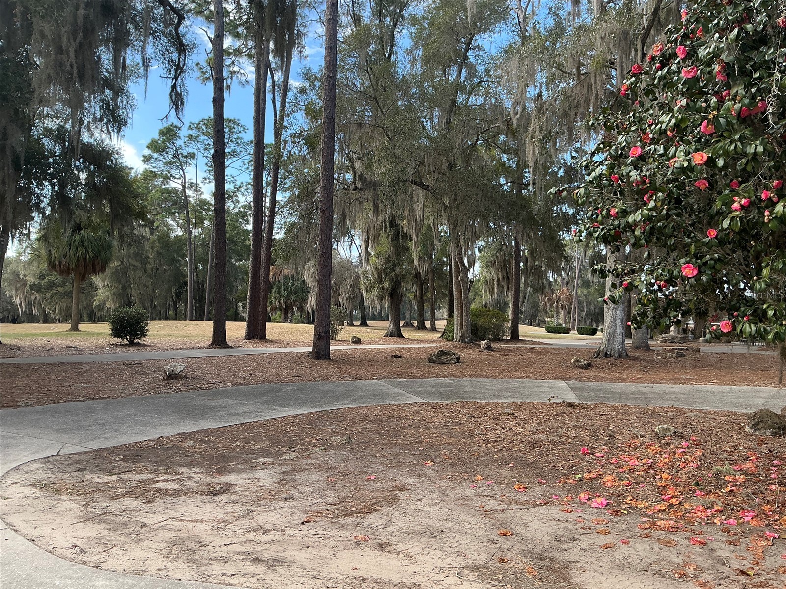 8870 SW 191st Circle Dunnellon FL 34432 O6376935 image59