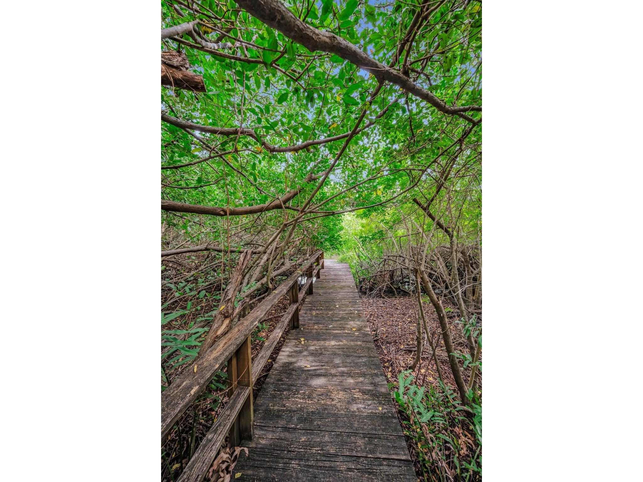 8871 Silverthorn Road Seminole FL 33777 - Canal TB8465707 image89