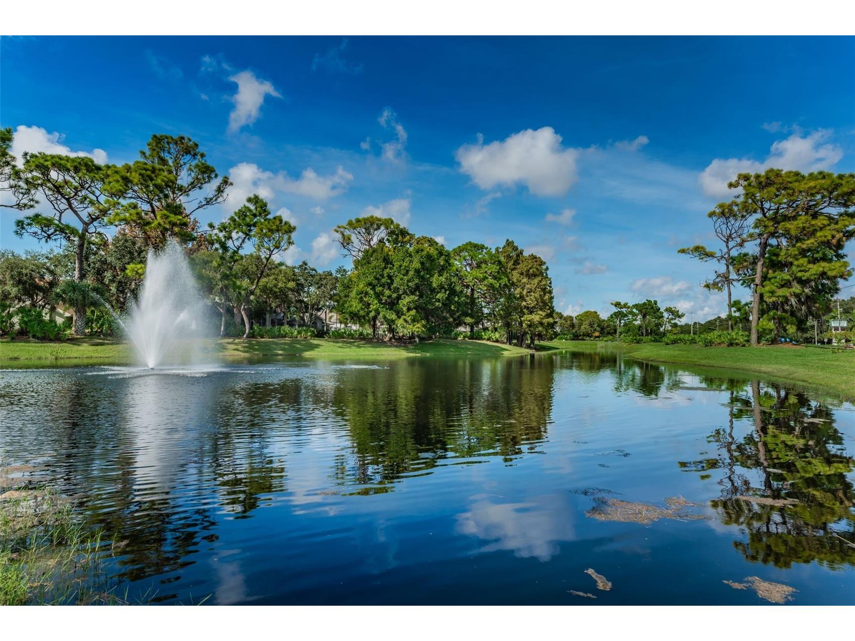 8871 Silverthorn Road Seminole FL 33777 - Canal TB8465707 image93