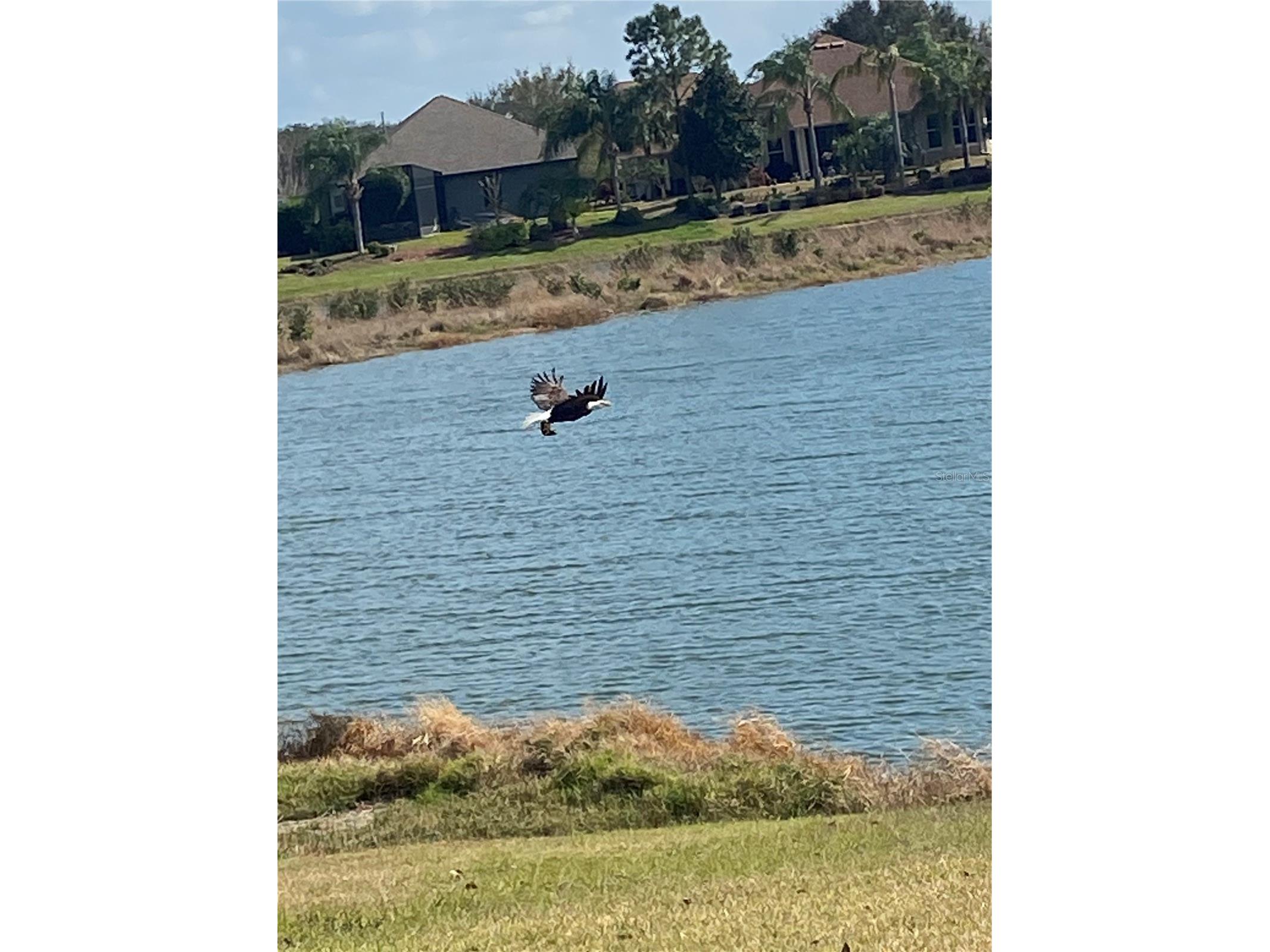 8872 Bridgeport Bay Circle Mount Dora FL 32757 G5114077 image82