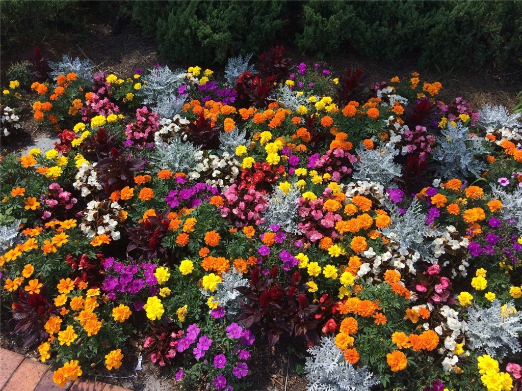 8872 SW 92nd Place #F Ocala FL 34481 OM707657 image38