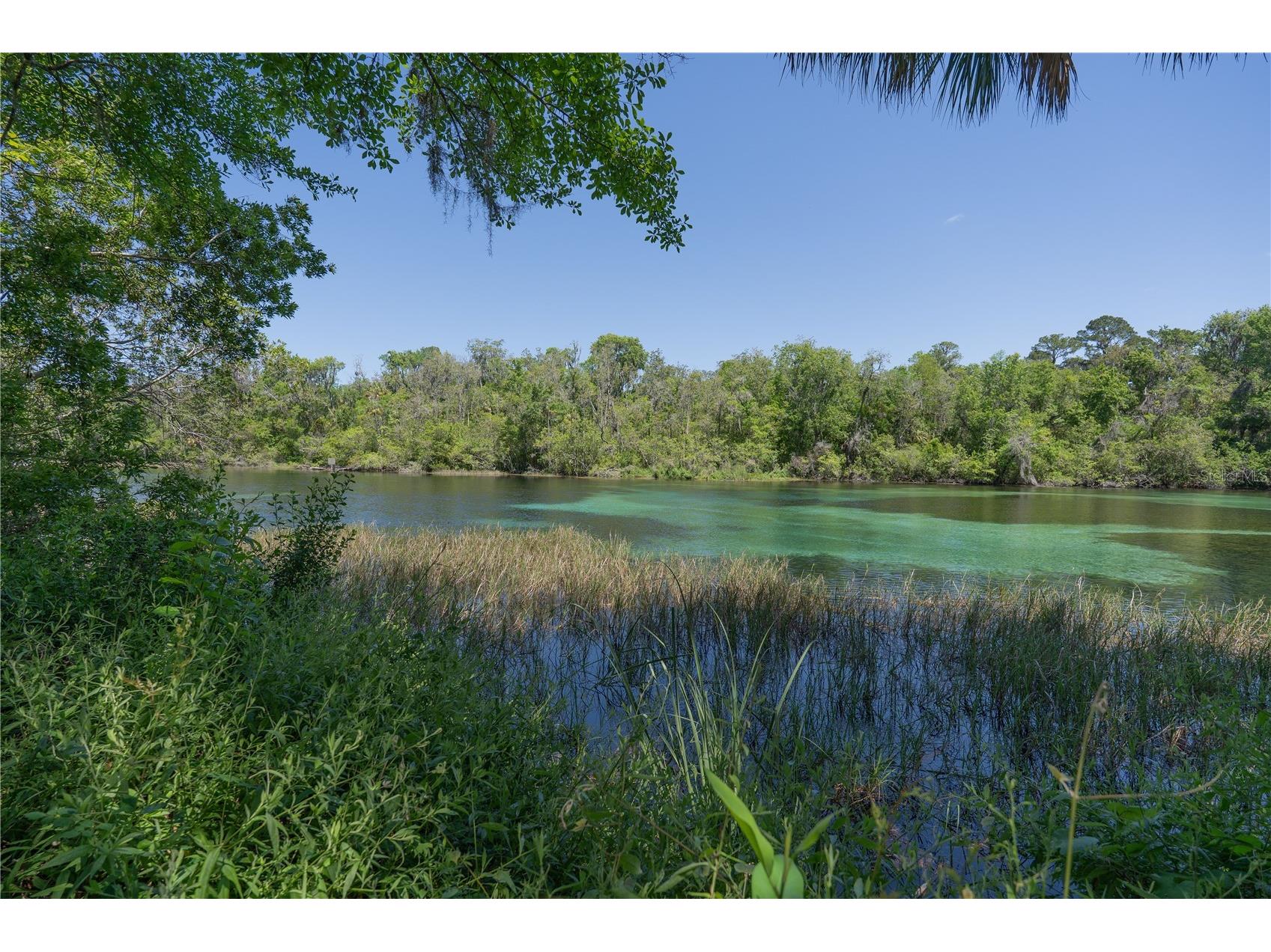 8873 SW 200th Circle Dunnellon FL 34431 - RAINBOW SPRINGS OM722907 image55