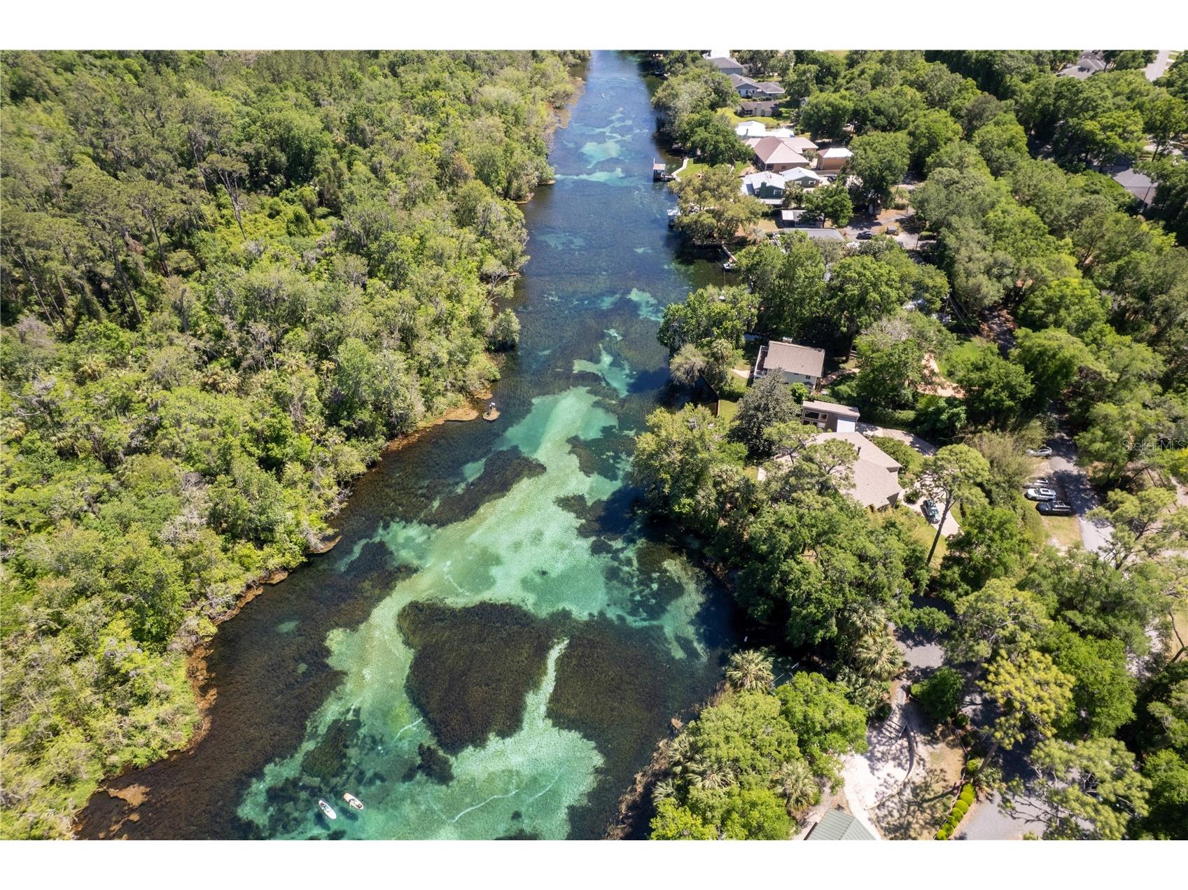 8873 SW 200th Circle Dunnellon FL 34431 - RAINBOW SPRINGS OM722907 image60