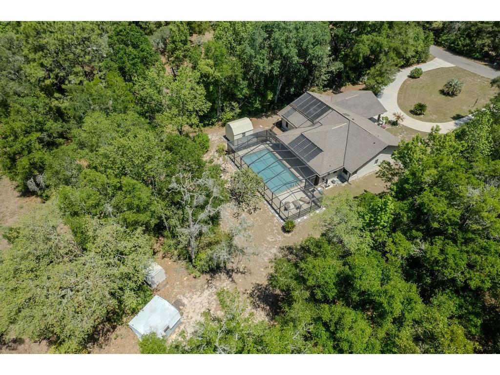 8873 SW 200th Circle Dunnellon FL 34431 - RAINBOW SPRINGS OM722907 image8