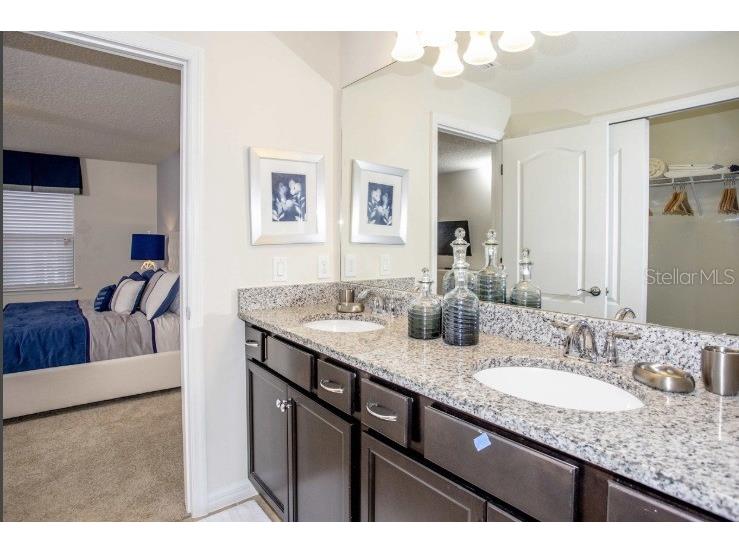 8875 Geneve Ct Kissimmee FL 34747 O6362536 image16