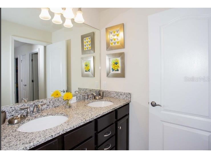 8875 Geneve Ct Kissimmee FL 34747 O6362536 image23