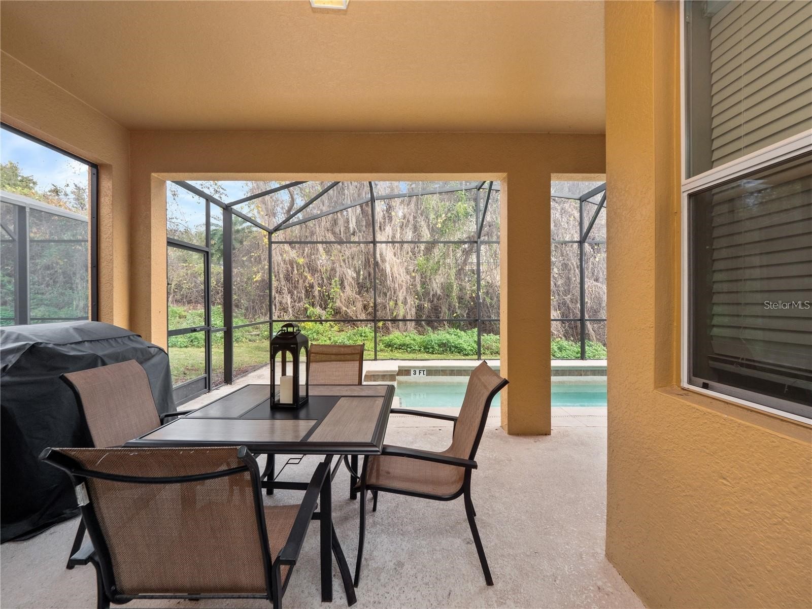 8876 Candy Palm Road Kissimmee FL 34747 O6391761 image6