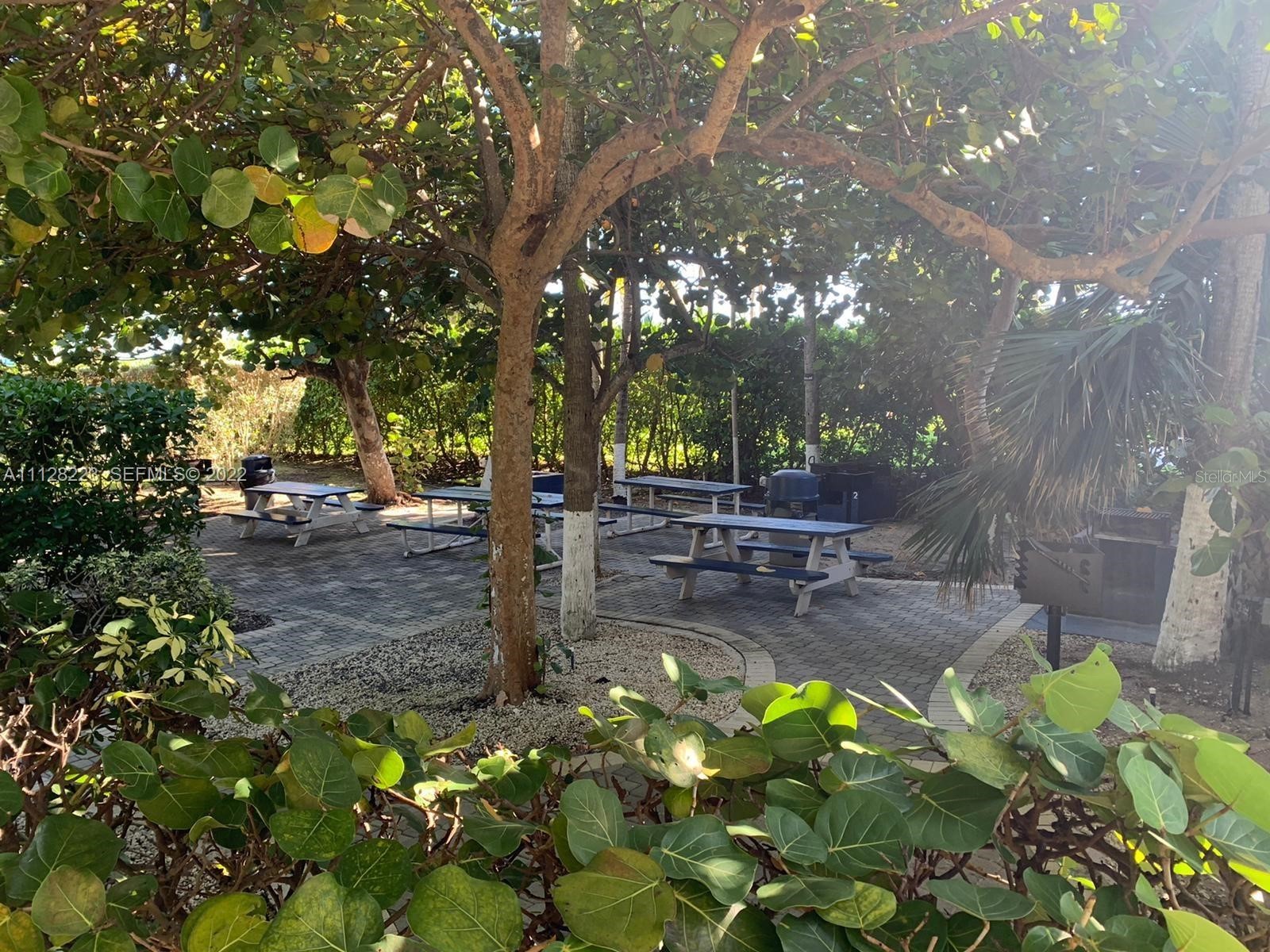 8877 Collins Avenue #506 Surfside FL 33154 - SURFSIDE BEACH TB8478824 image39