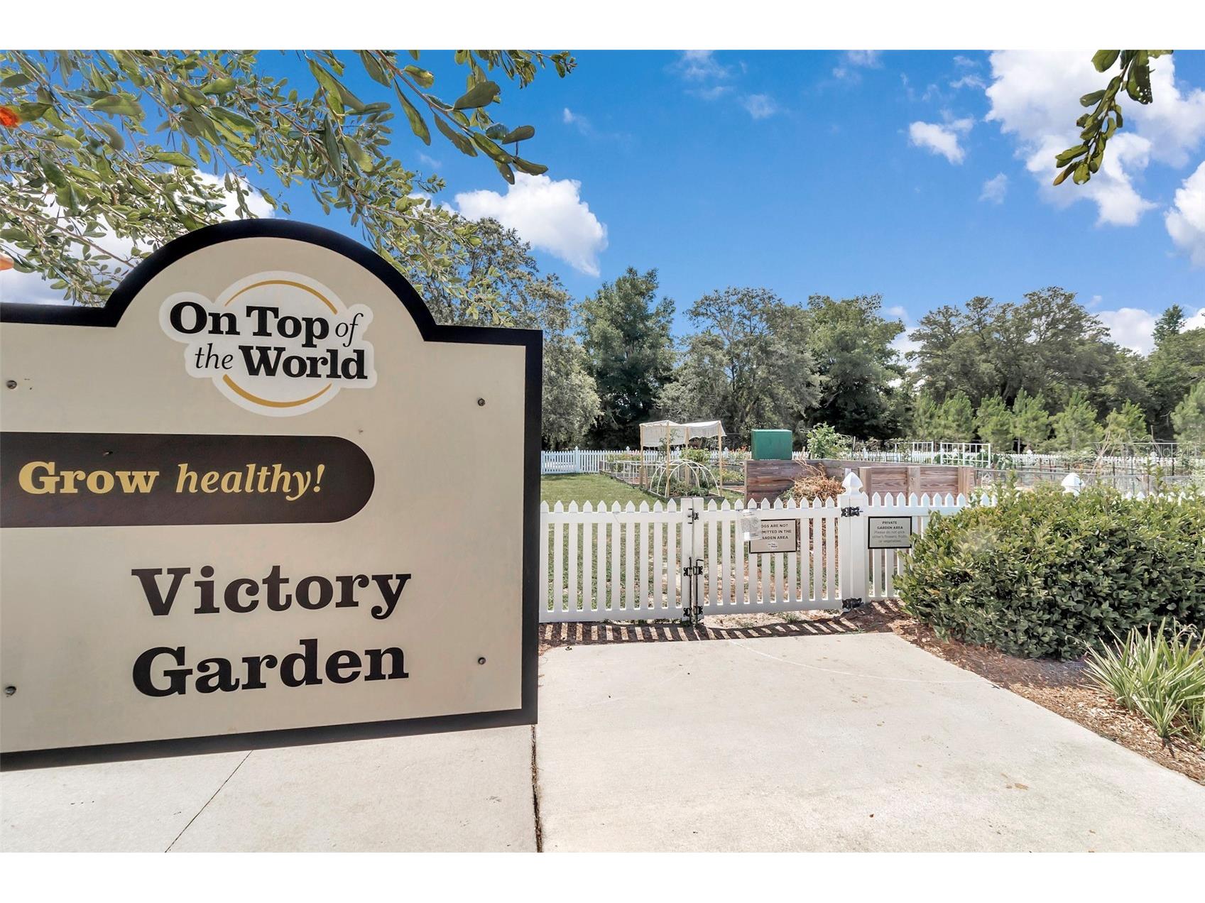 8877 SW 96th Street #B Ocala FL 34481 OM720574 image42