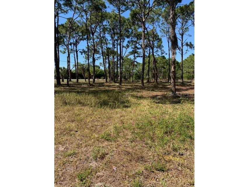 8878 Bantry Bay Boulevard Englewood FL 34224 N6114464 image5