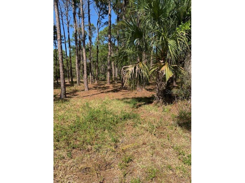 8878 Bantry Bay Boulevard Englewood FL 34224 N6114464 image6