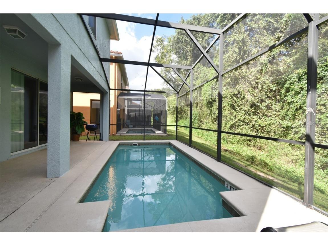 8878 E Candy Palm Rd Kissimmee FL 34747 O6347759 image19