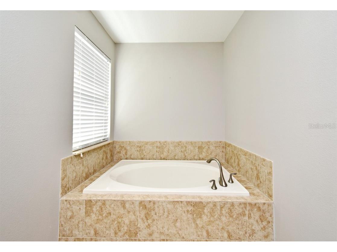 8878 E Candy Palm Rd Kissimmee FL 34747 O6347759 image49