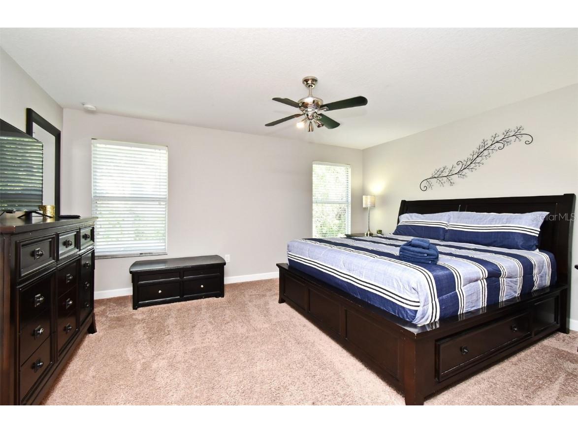 8878 E Candy Palm Rd Kissimmee FL 34747 O6347759 image55