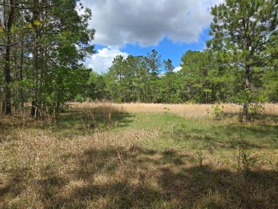 8878 SE 180th Avenue Road Ocklawaha FL 32179 O6395256 image10