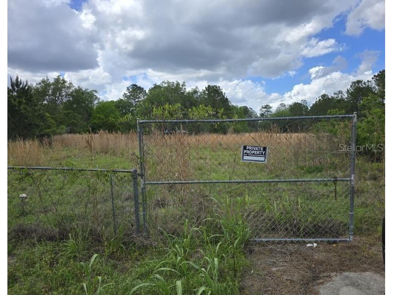 8878 SE 180th Avenue Road Ocklawaha FL 32179 O6395256 image2