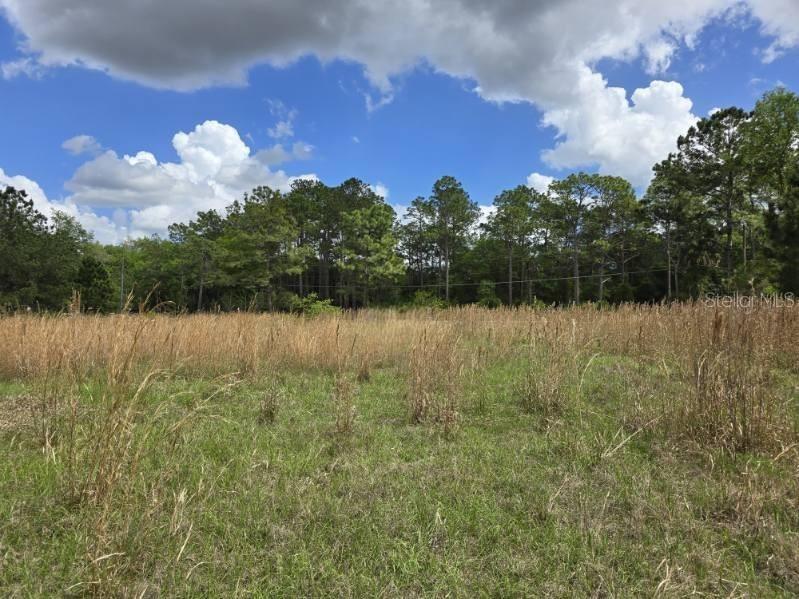 8878 SE 180th Avenue Road Ocklawaha FL 32179 O6395256 image5