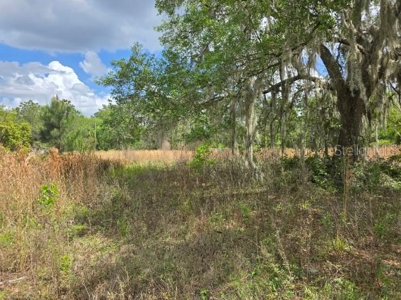 8878 SE 180th Avenue Road Ocklawaha FL 32179 O6395256 image6