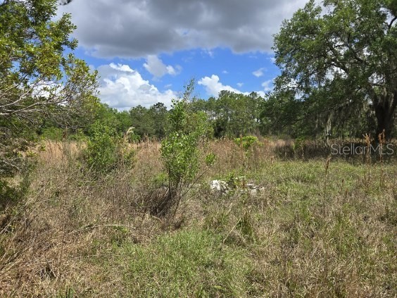 8878 SE 180th Avenue Road Ocklawaha FL 32179 O6395256 image7