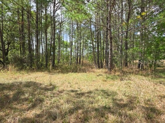 8878 SE 180th Avenue Road Ocklawaha FL 32179 O6395256 image8