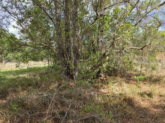 8878 SE 180th Avenue Road Ocklawaha FL 32179 O6395256 image9