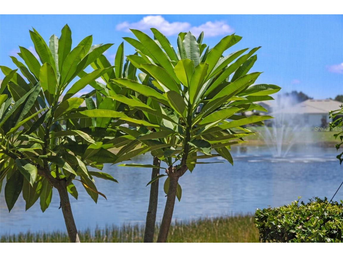 8879 Backspin Lane Davenport FL 33896 S5133213 image41