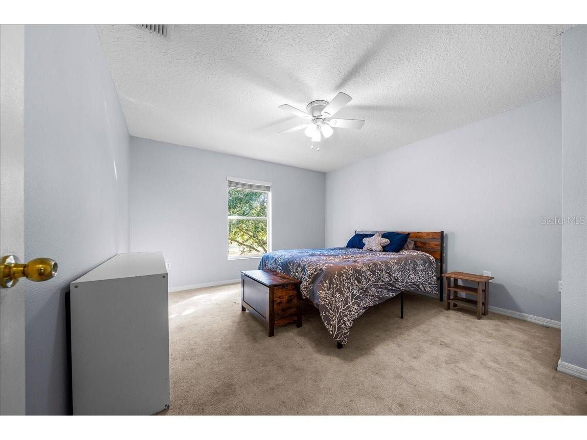 888 Marietta Lane Eustis FL 32726 OM716897 image53