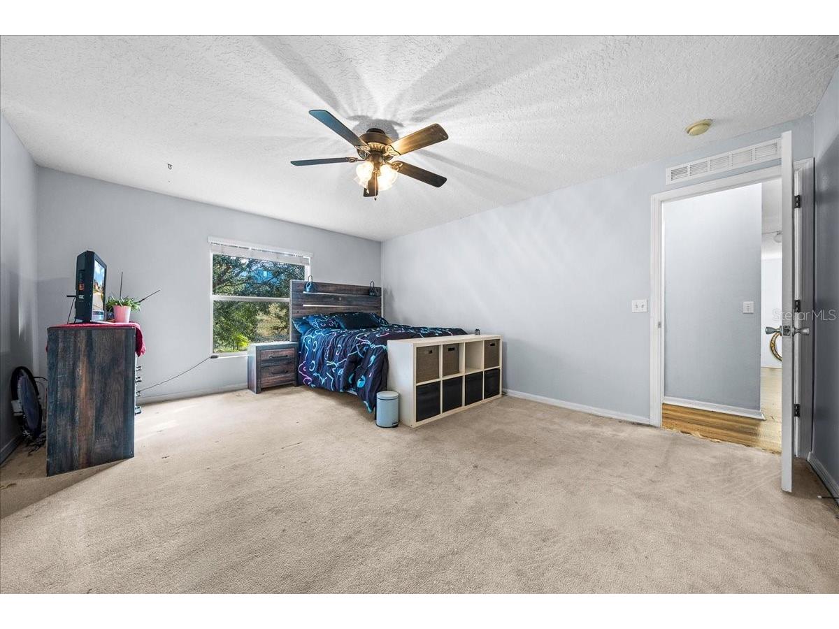 888 Marietta Lane Eustis FL 32726 OM716897 image57