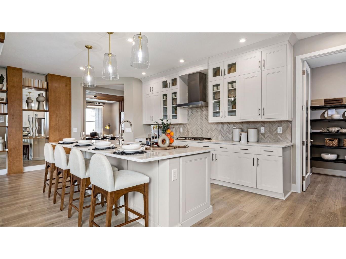 888 Pescara Way Lady Lake FL 32159 W7879813 image3