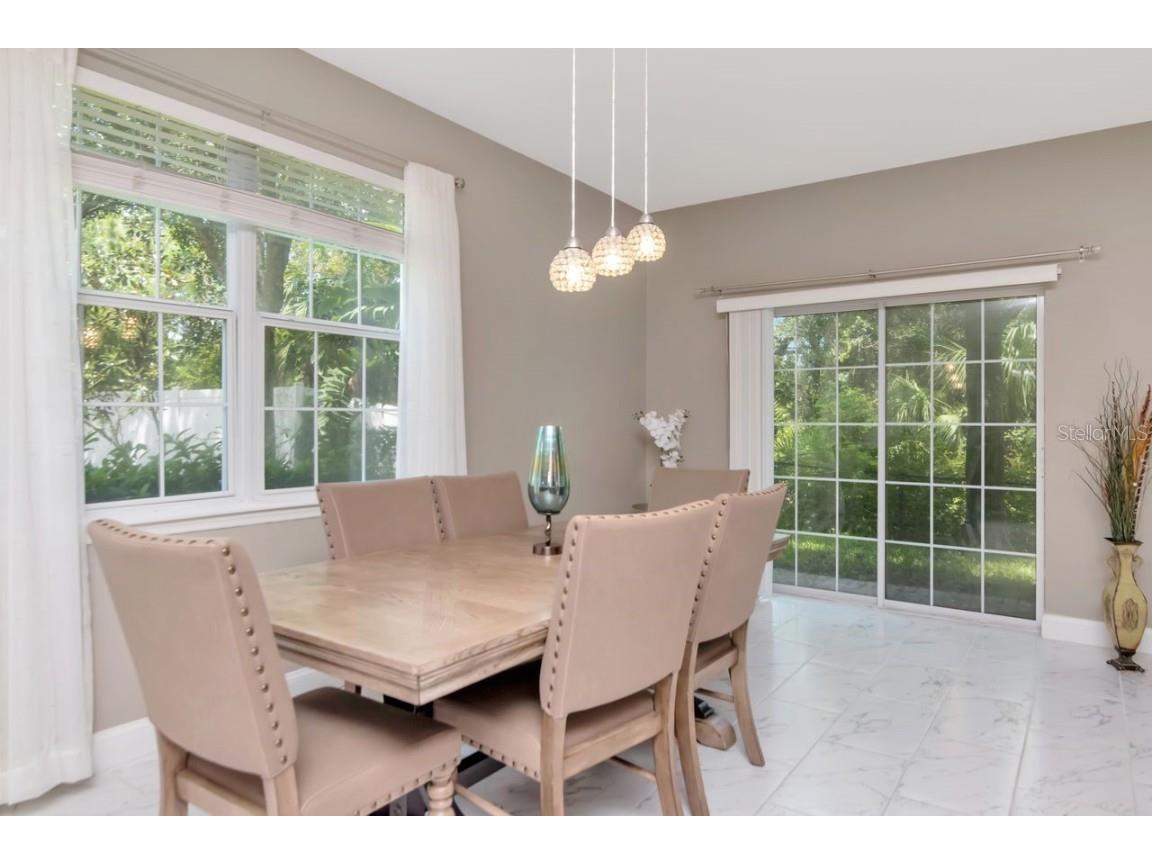 8880 Moonlit Meadows Loop Riverview FL 33578 A4663225 image12