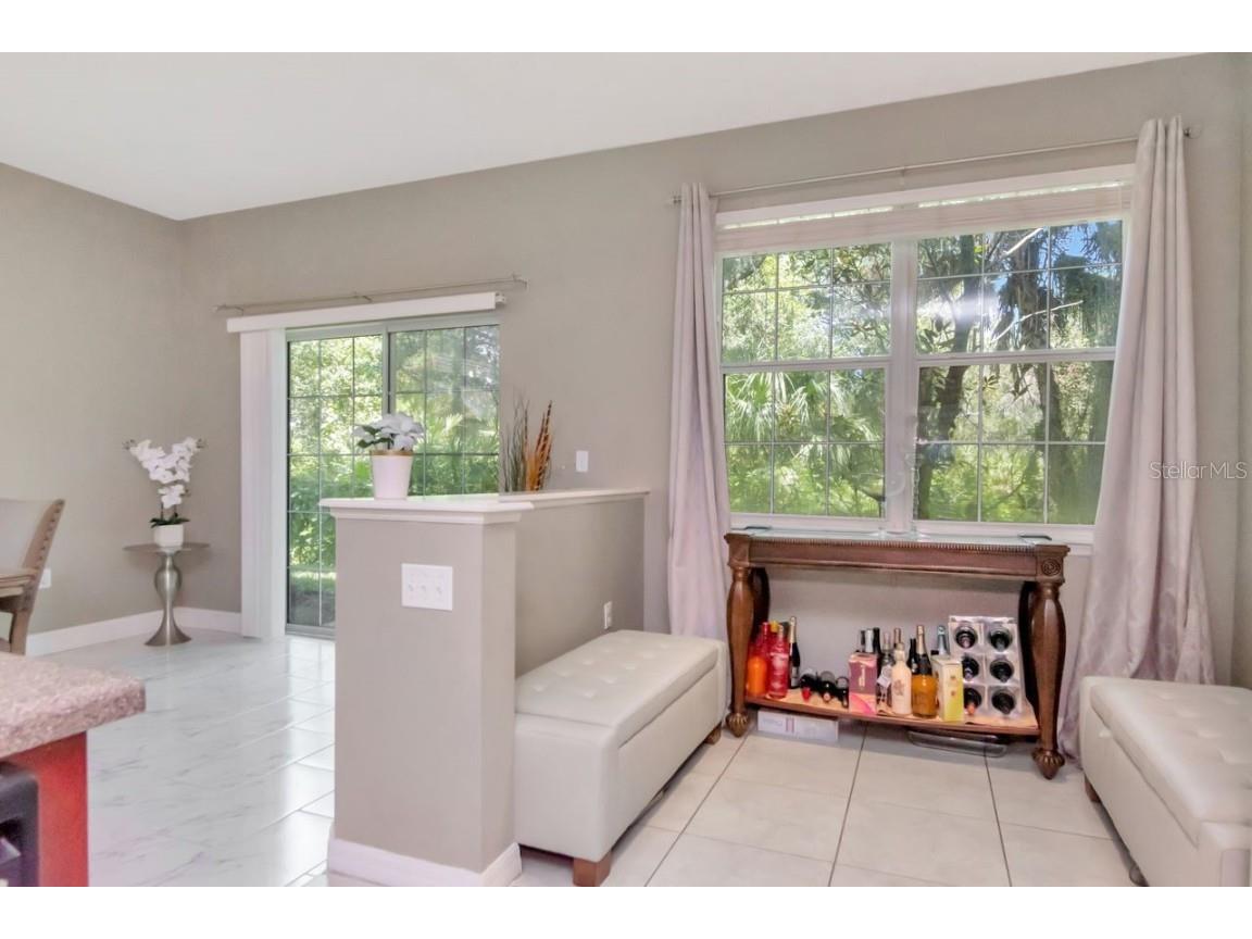 8880 Moonlit Meadows Loop Riverview FL 33578 A4663225 image3