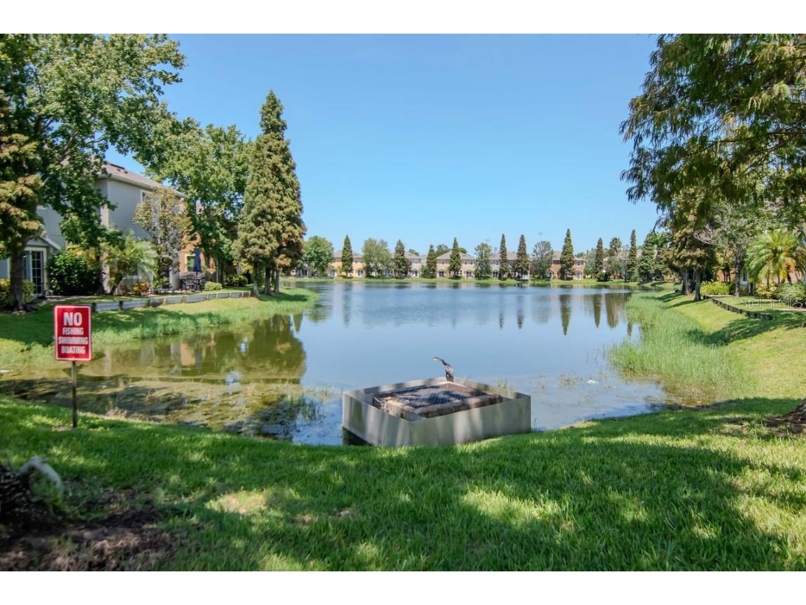 8880 Moonlit Meadows Loop Riverview FL 33578 A4663225 image33