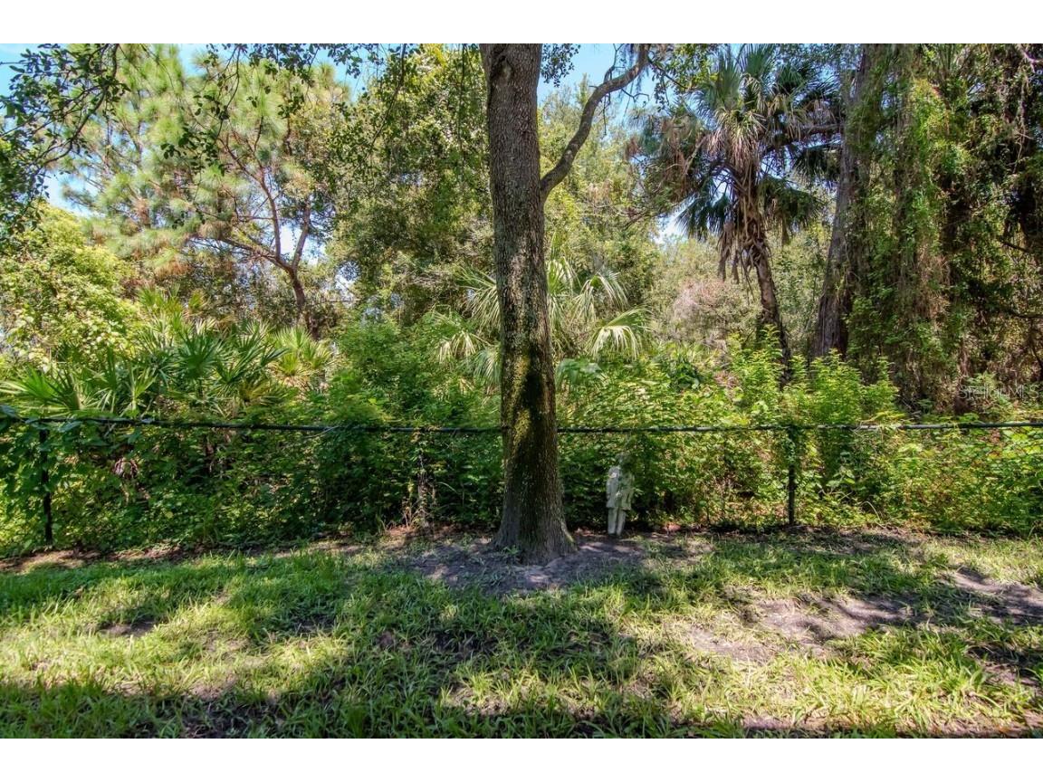 8880 Moonlit Meadows Loop Riverview FL 33578 A4663225 image37