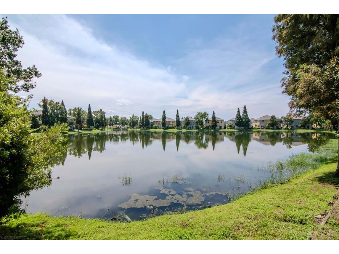 8880 Moonlit Meadows Loop Riverview FL 33578 A4663225 image38