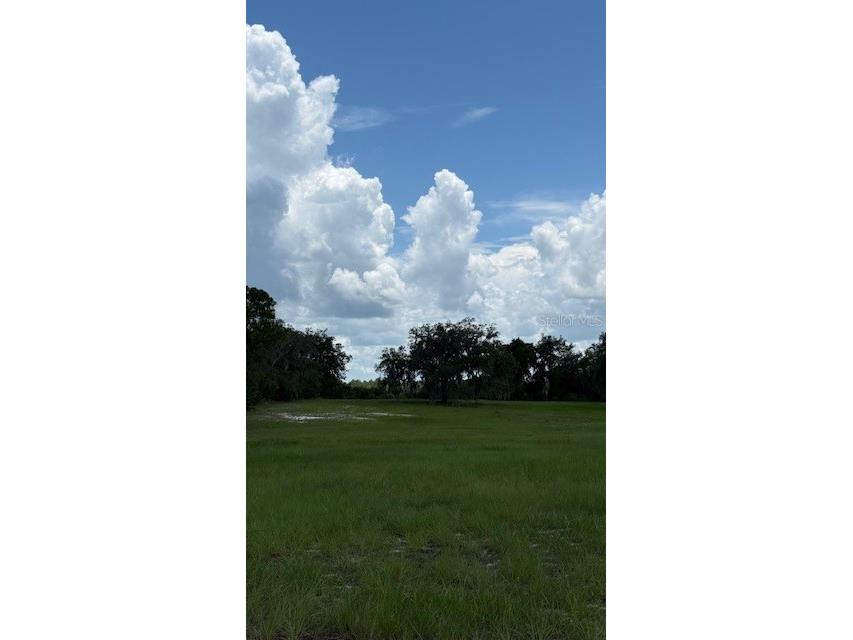 8881 Deer Run Drive Lake Wales FL 33898 O6423913 image5