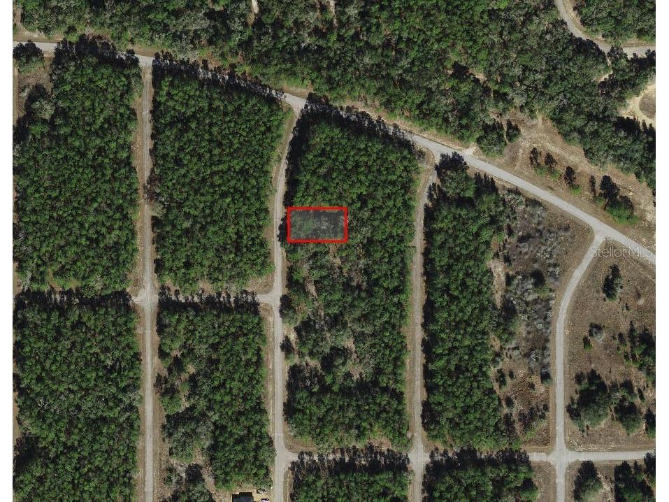 8881 N Teather Terrace Dunnellon FL 34434 A4693918 image1