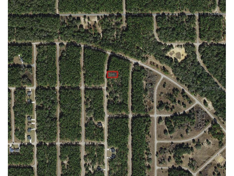 8881 N Teather Terrace Dunnellon FL 34434 A4693918 image2