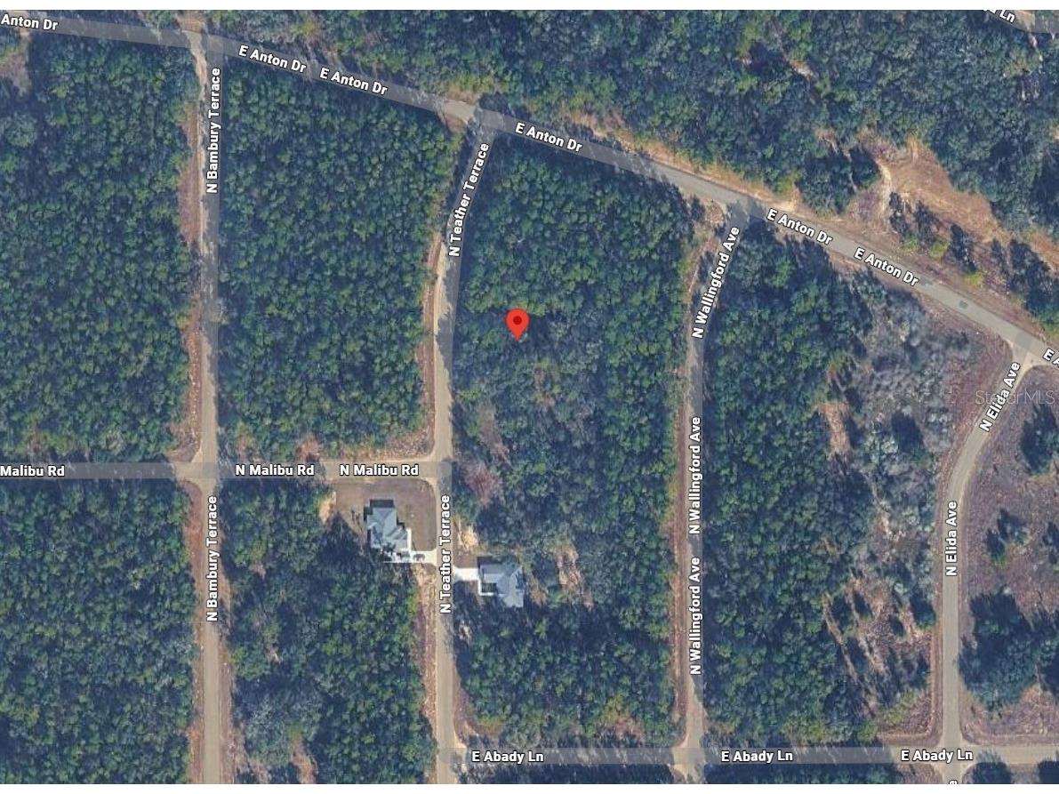 8881 N Teather Terrace Dunnellon FL 34434 A4693918 image3