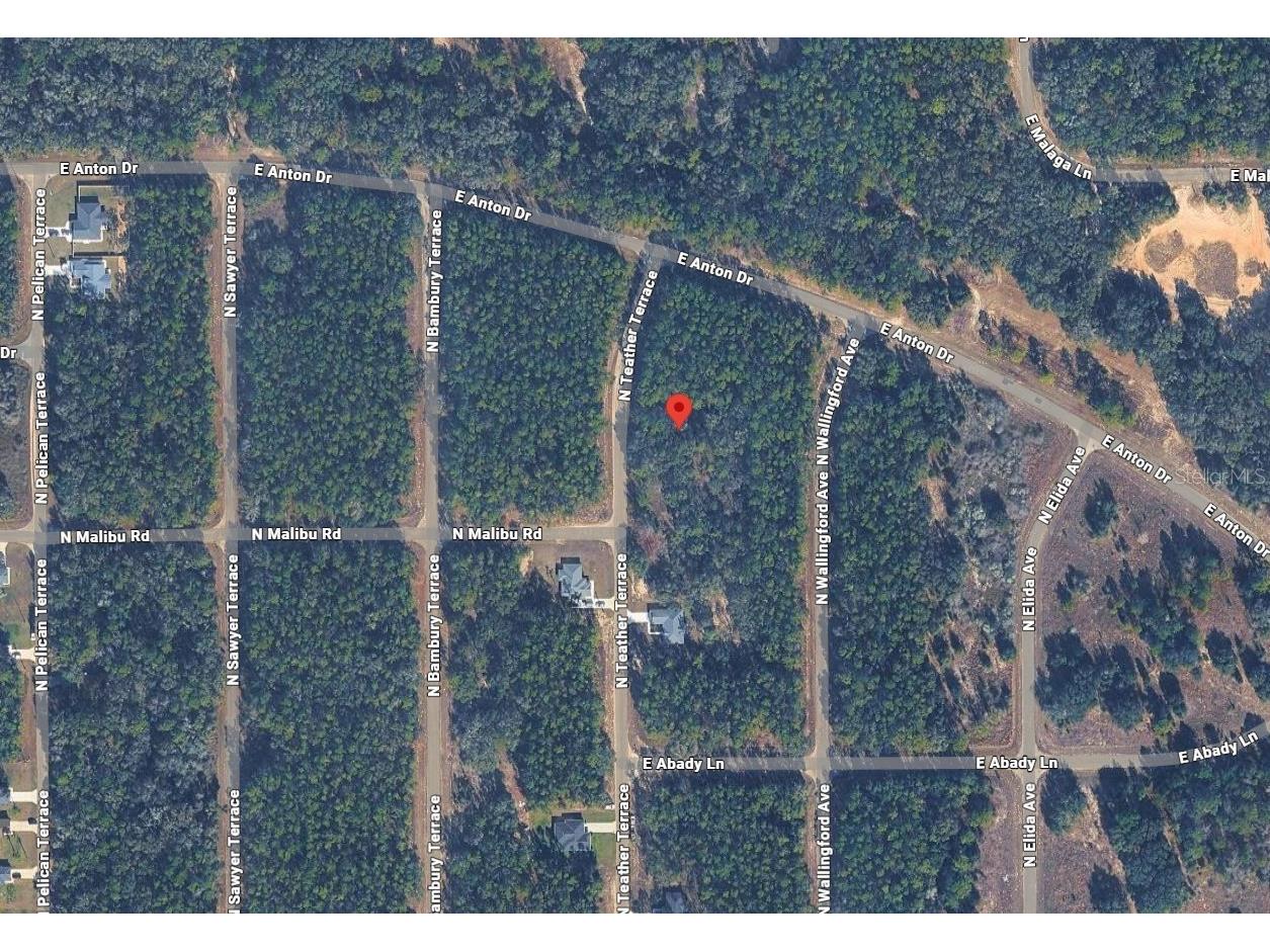 8881 N Teather Terrace Dunnellon FL 34434 A4693918 image4