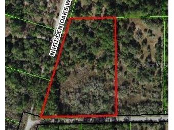 8881 W Orangetree Street Crystal River FL 34428 W7842722 image1