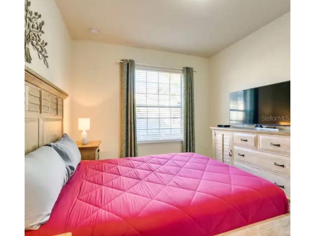 8882 Geneve Court Kissimmee FL 34747 C7511319 image17