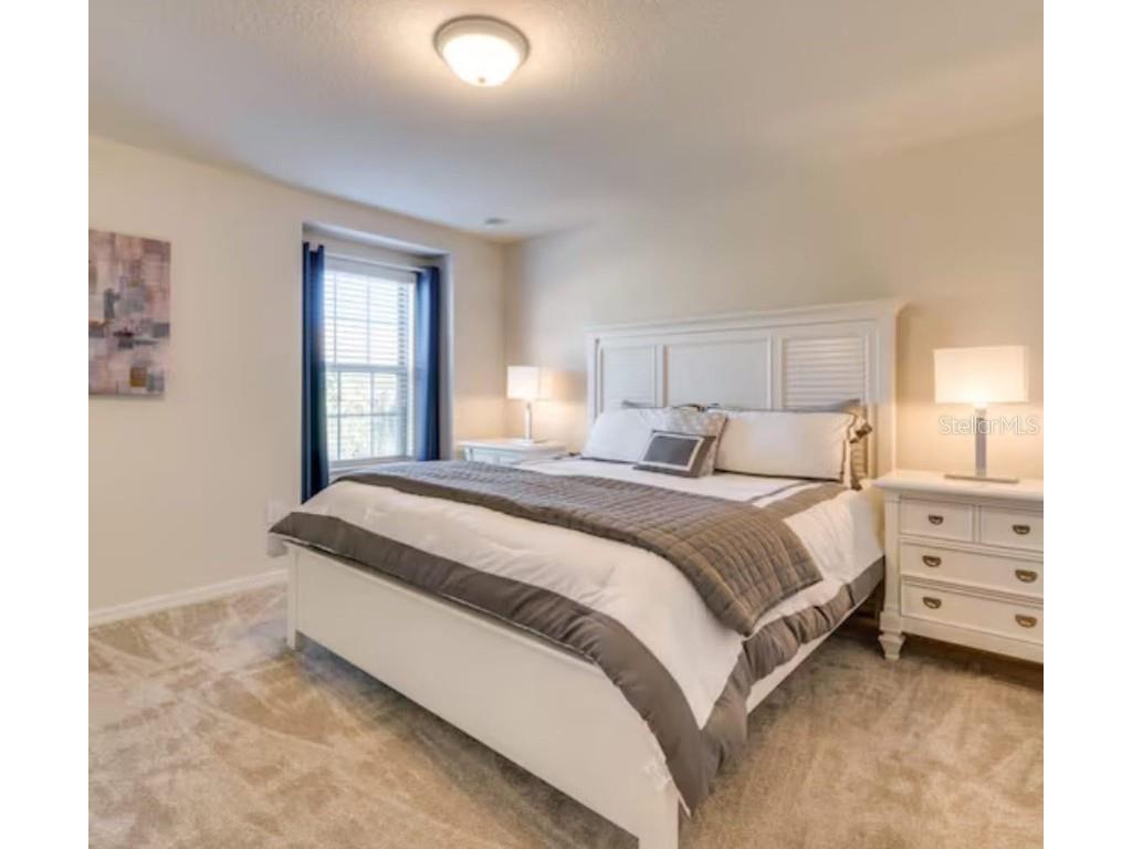 8882 Geneve Court Kissimmee FL 34747 C7511319 image18