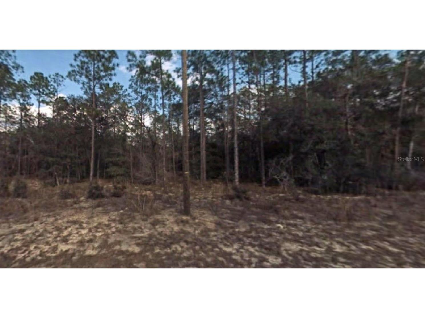 8883 N Spikes Way Citrus Springs FL 34434 O6090416 image1