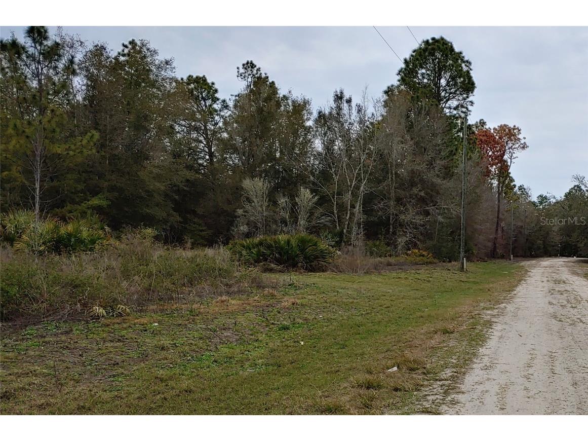 8884 N Delene Terrace Crystal River FL 34428 TB8347484 image1