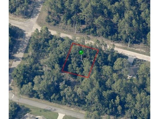 8884 N Vienna Drive Dunnellon FL 34433 OM682845 image1