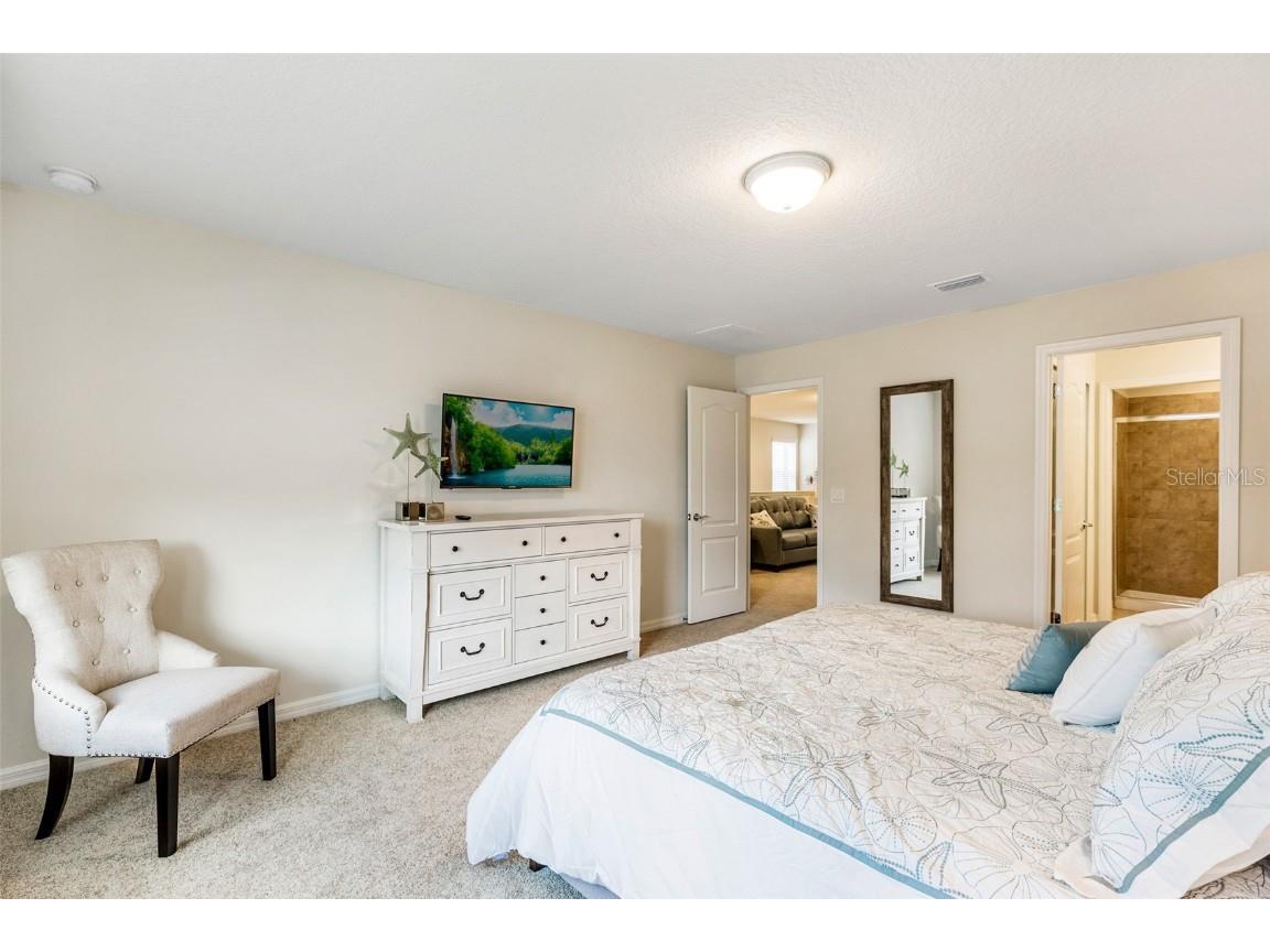 8887 Geneve Court Kissimmee FL 34747 O6295445 image18