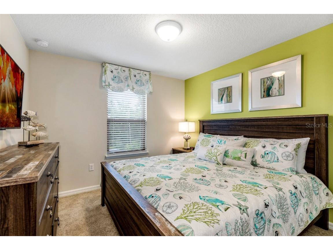 8887 Geneve Court Kissimmee FL 34747 O6295445 image22