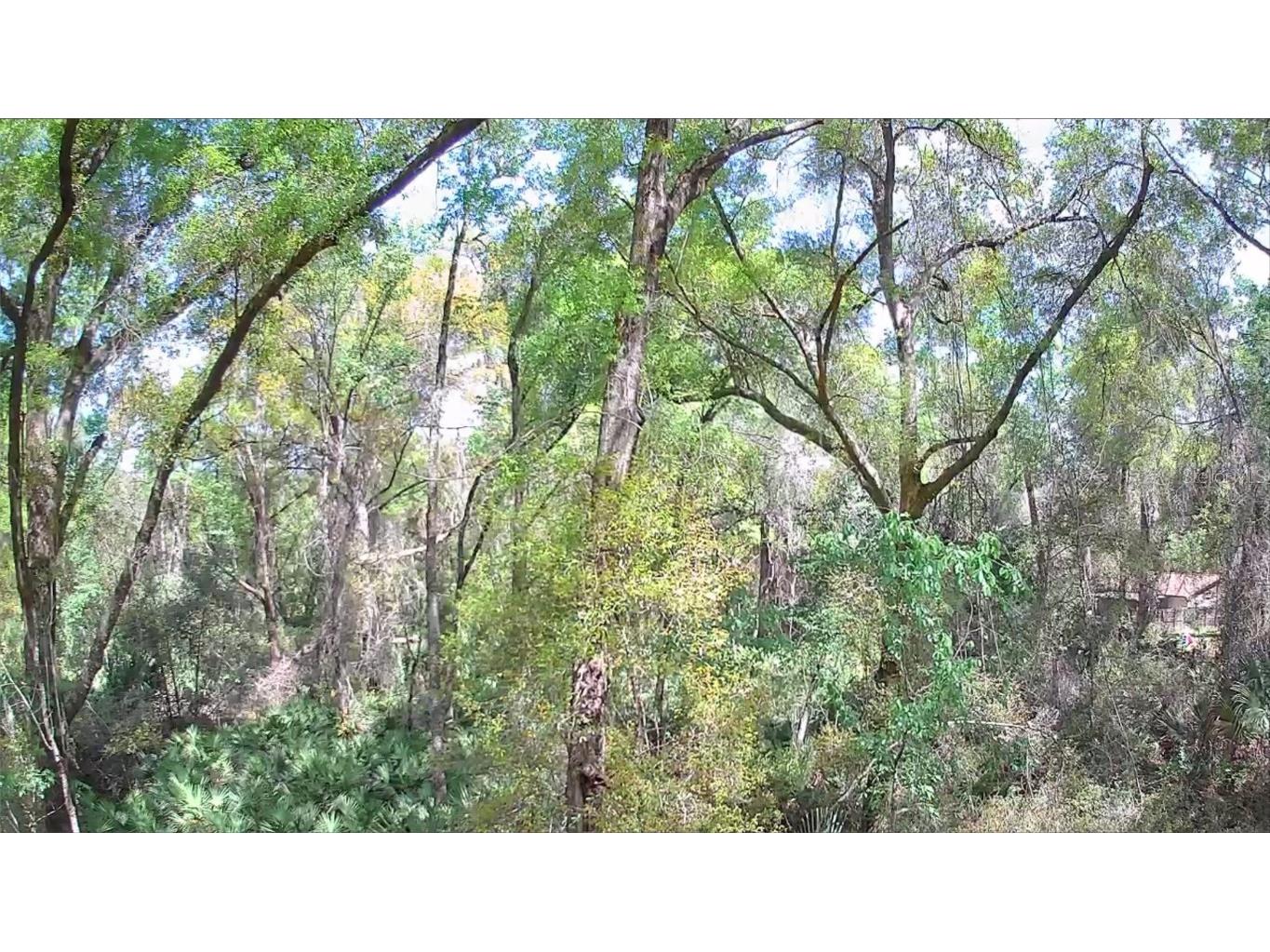 8888 N Papaya Terrace Crystal River FL 34428 U8234751 image1